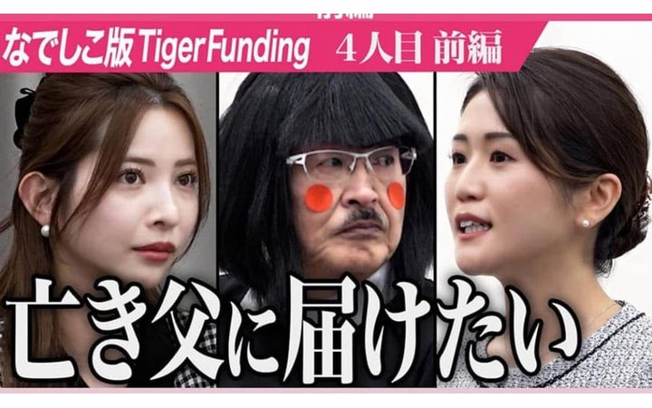 なでしこ版 Tiger Funding
